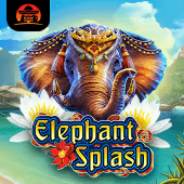 Elephant Splash