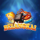 Belangkai