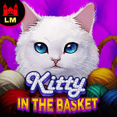 Kitty in the Basket